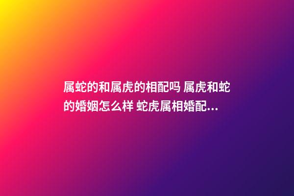 属蛇的和属虎的相配吗 属虎和蛇的婚姻怎么样 蛇虎属相婚配好吗 属虎和属蛇的夫妻结局-第1张-观点-玄机派